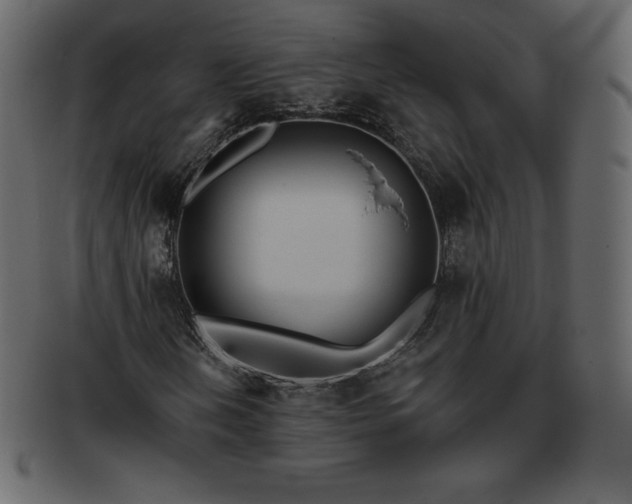 X0000093361202200710191050