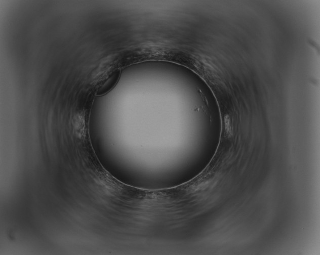 X0000093361203200710191050