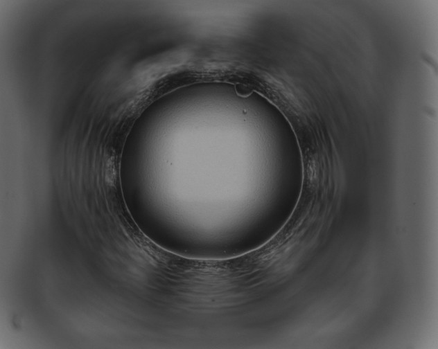 X0000093361204200710191050
