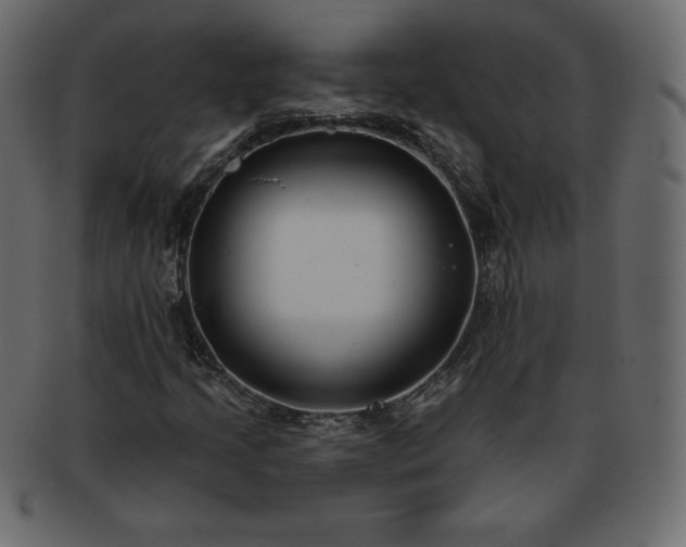 X0000093361205200710191050