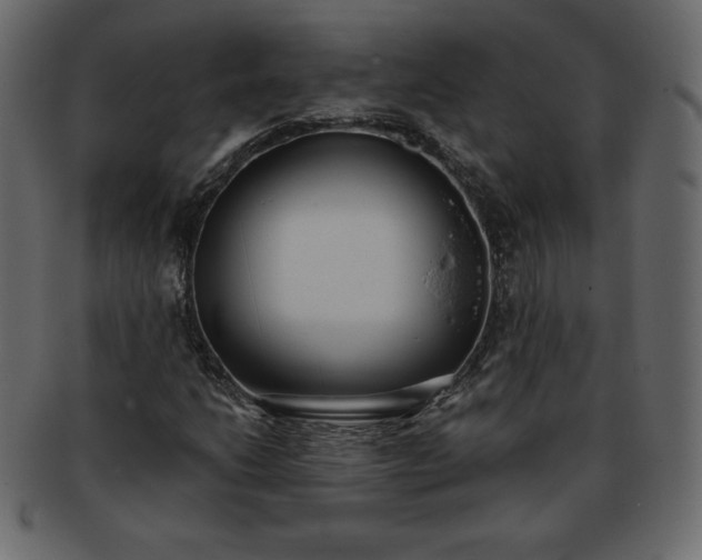 X0000093361206200710191050