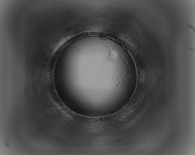 X0000093361208200710191050