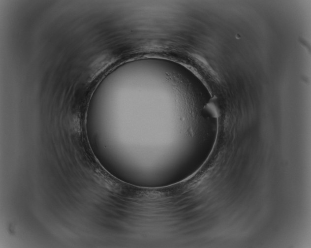 X0000093361209200710191051