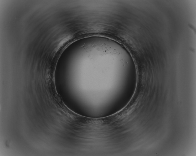 X0000093361210200710191051