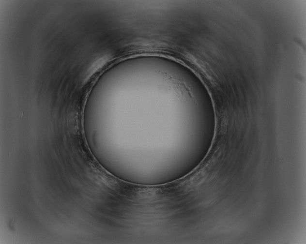 X0000093361211200710191051