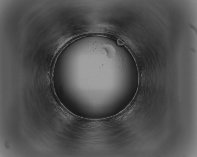 X0000093361212200710191051