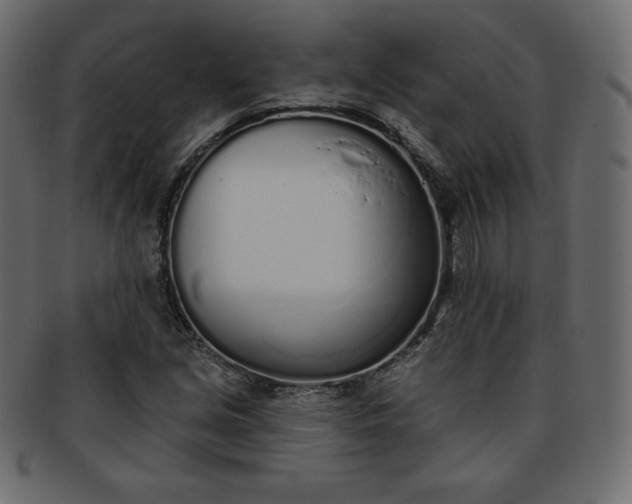 X0000093361213200710191051
