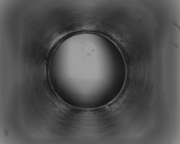 X0000093361214200710191051