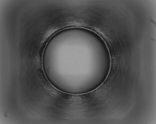 X0000093361215200710191051