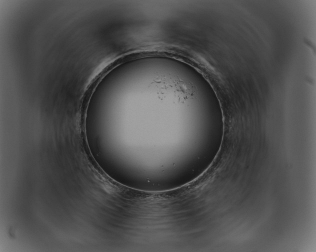 X0000093361216200710191051