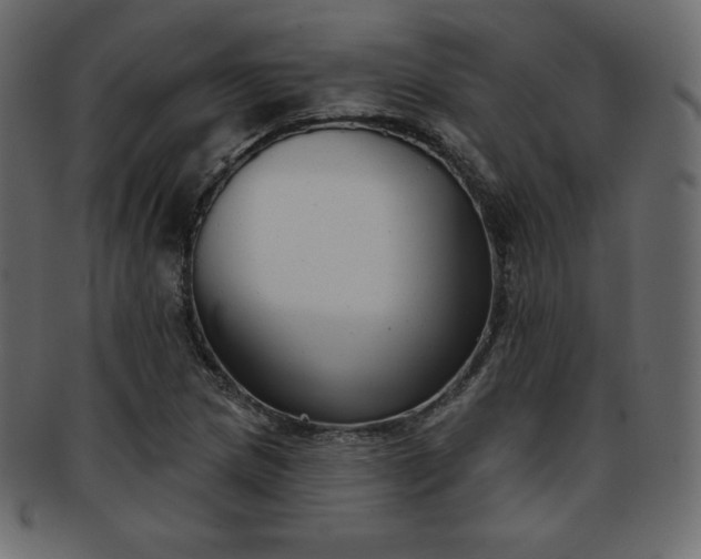 X0000093361217200710191051