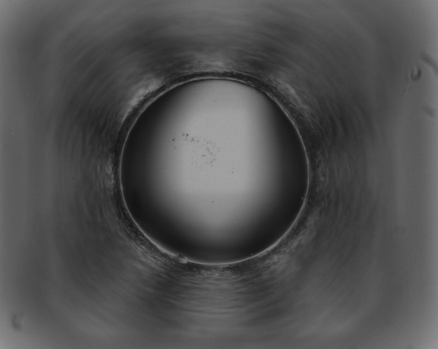 X0000093361218200710191051