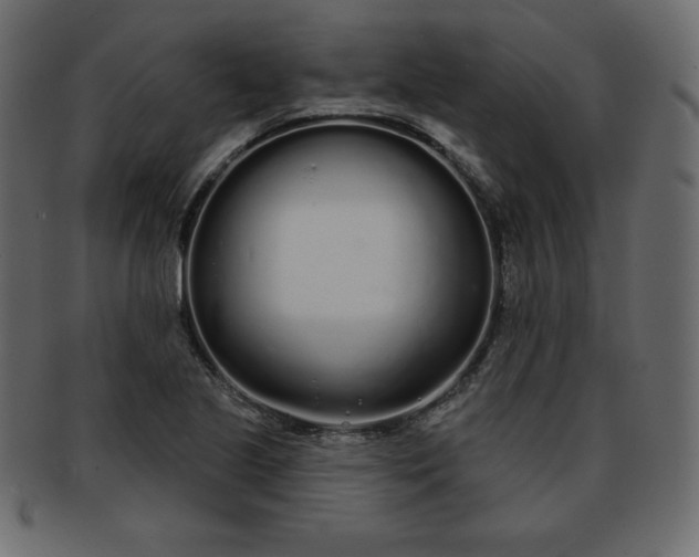 X0000093361221200710191051