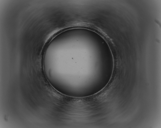 X0000093361222200710191051
