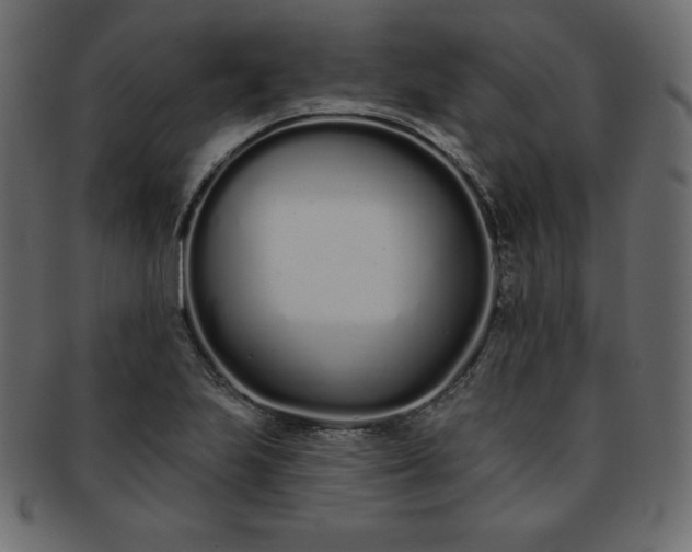 X0000093361223200710191051