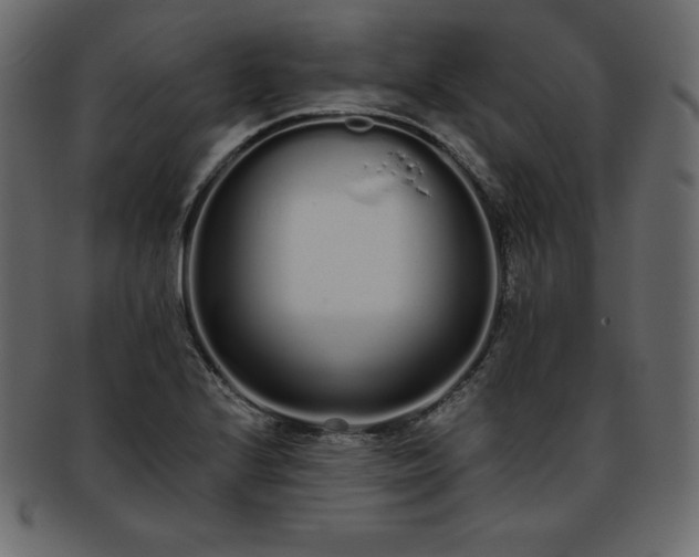 X0000093361224200710191051