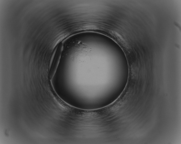 X0000093361225200710191051