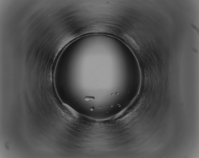 X0000093361226200710191051
