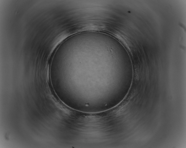 X0000093361227200710191051