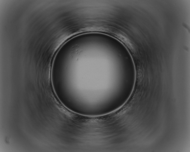 X0000093361228200710191051