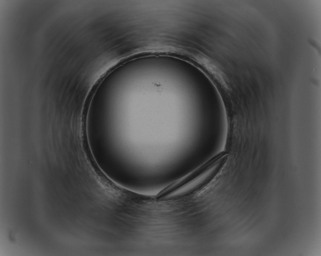 X0000093361229200710191051