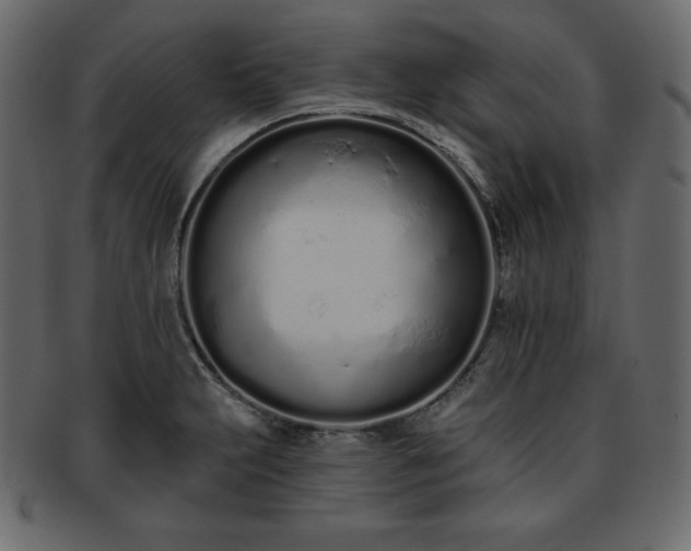 X0000093361231200710191051