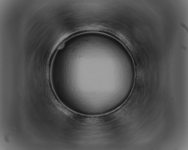 X0000093361232200710191051