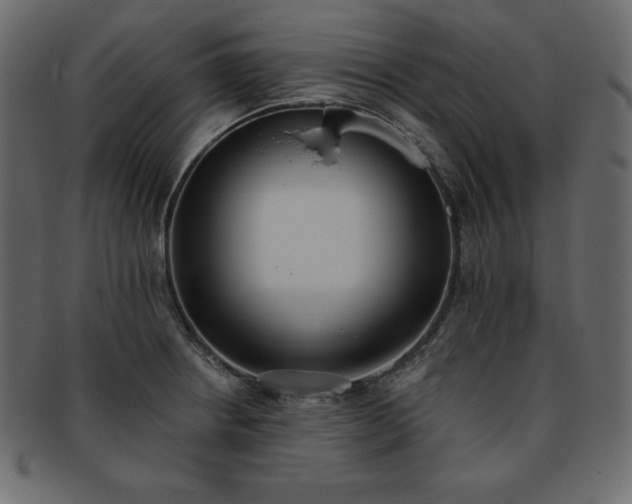 X0000093361234200710191051
