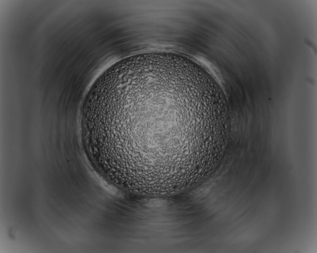 X0000093361235200710191051