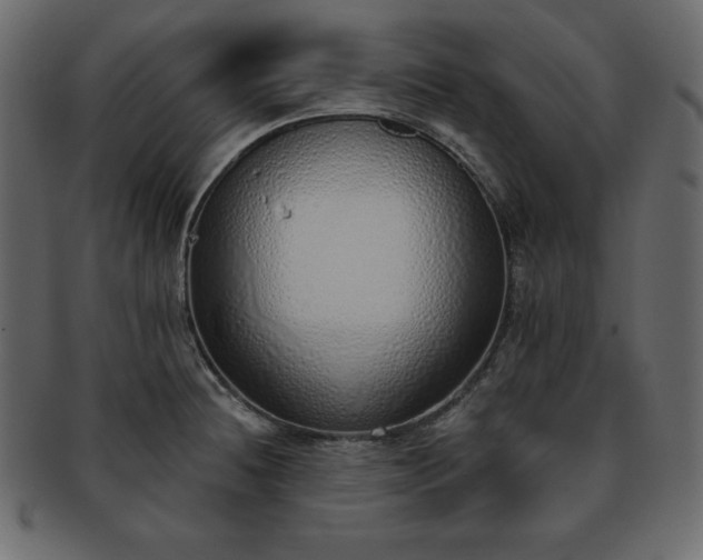X0000093361236200710191051