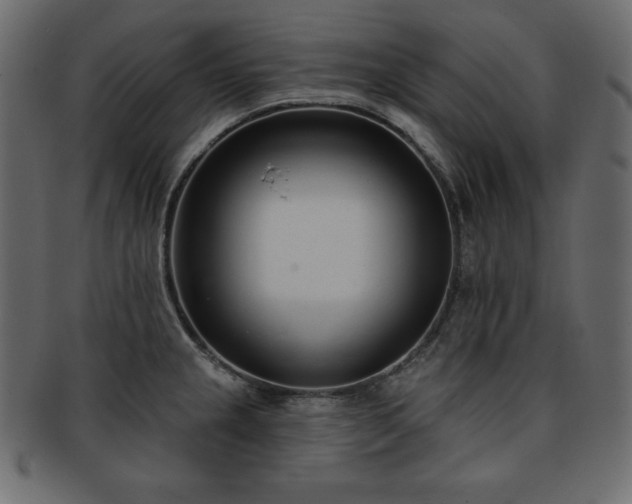 X0000093361237200710191051