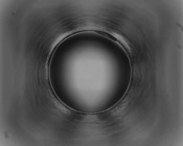 X0000093361238200710191051