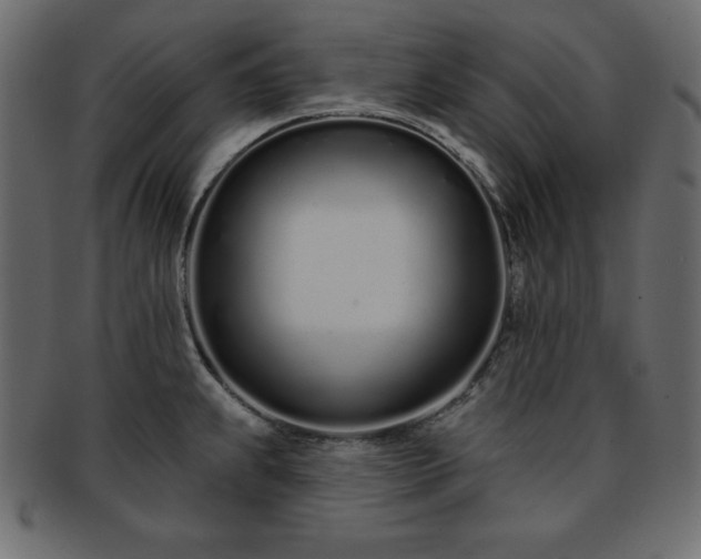 X0000093361239200710191051