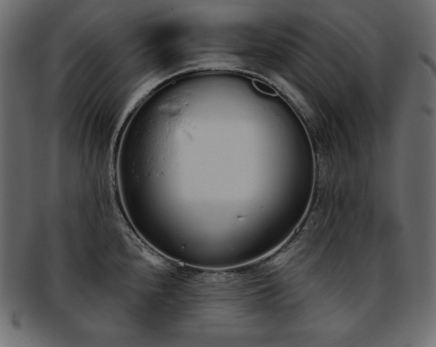 X0000093361240200710191051
