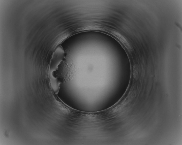 X0000093361241200710191051