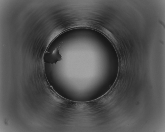 X0000093361242200710191051