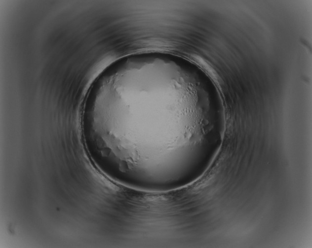 X0000093361243200710191051
