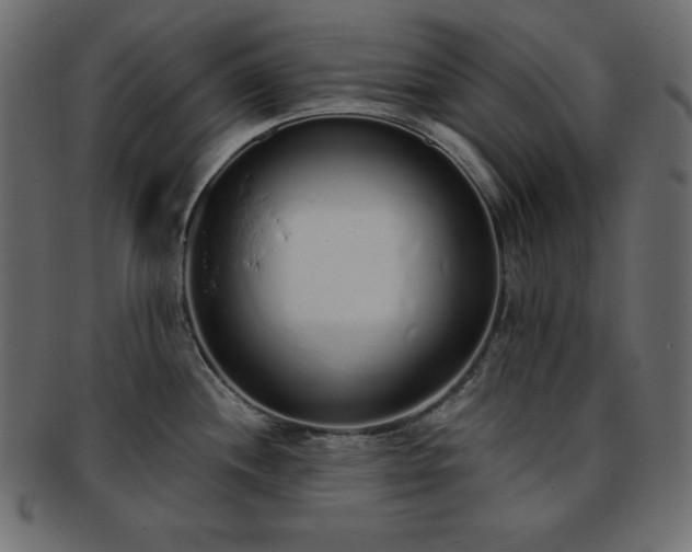 X0000093361244200710191051