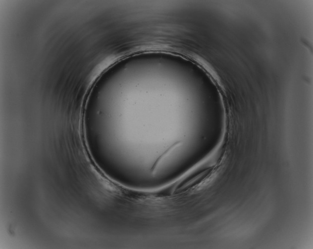 X0000093361245200710191051