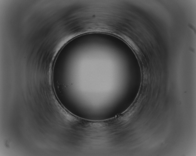 X0000093361246200710191051