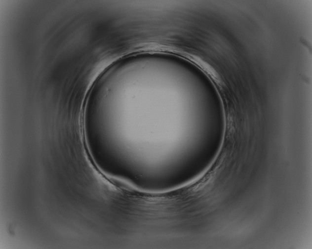 X0000093361247200710191051