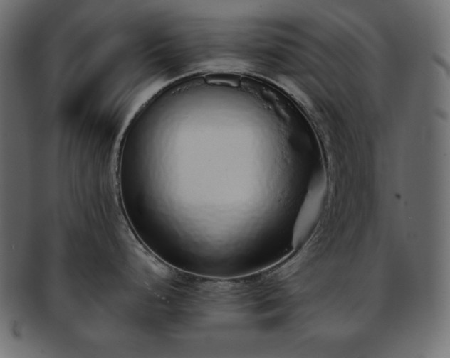 X0000093361248200710191051