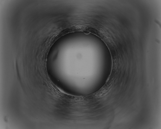 X0000093361249200710191050