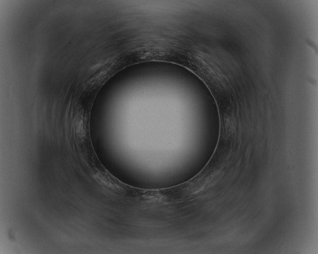 X0000093361250200710191050