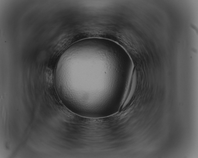 X0000093361251200710191050