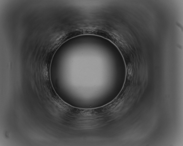 X0000093361252200710191050
