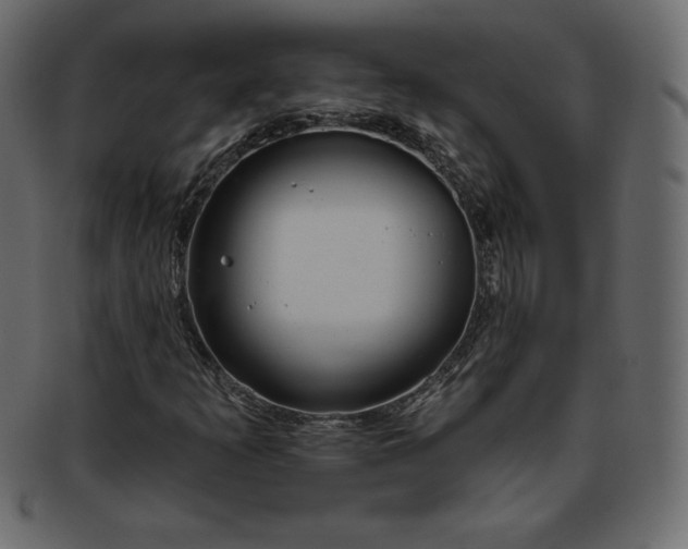 X0000093361253200710191050