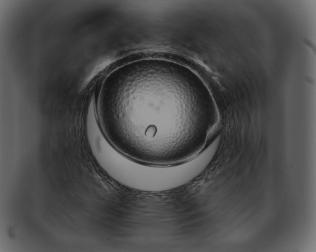 X0000093361255200710191050