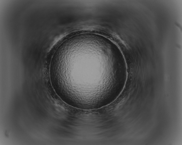 X0000093361256200710191050