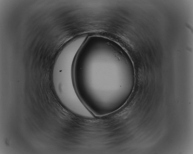 X0000093361257200710191050